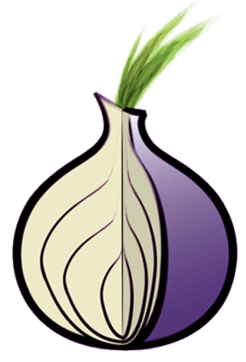 Quelle: https://commons.wikimedia.org/wiki/File:Tor_logo1.png